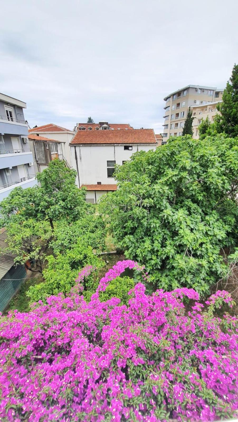 Vojinovic Apartments Budva Kamer foto