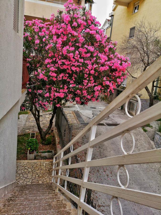 Vojinovic Apartments Budva Buitenkant foto