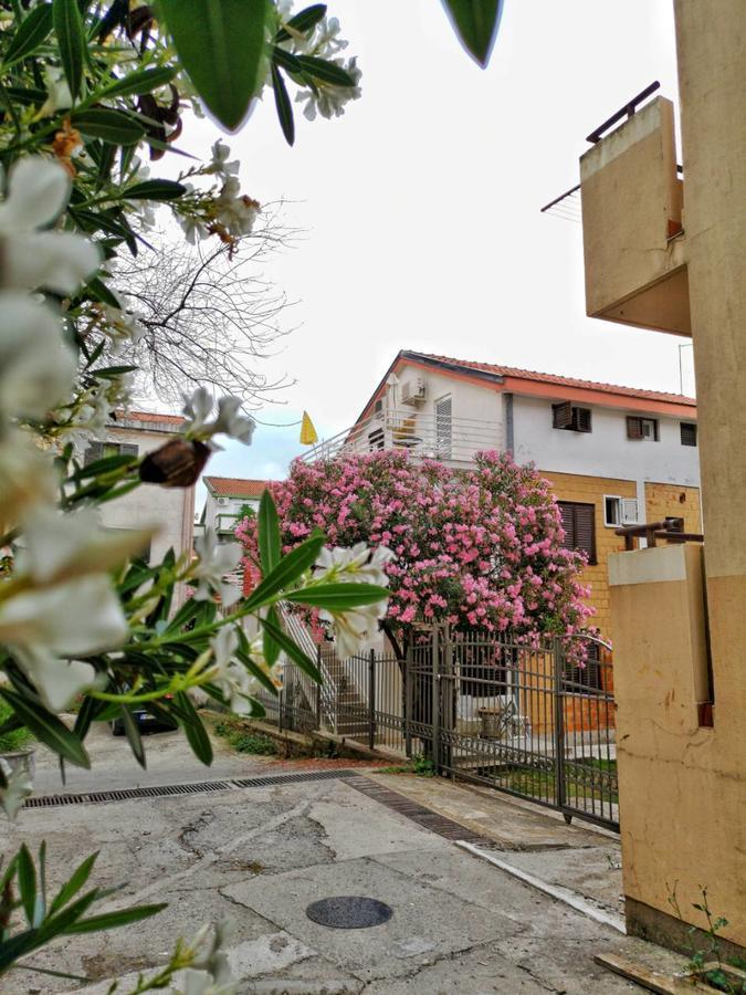 Vojinovic Apartments Budva Buitenkant foto